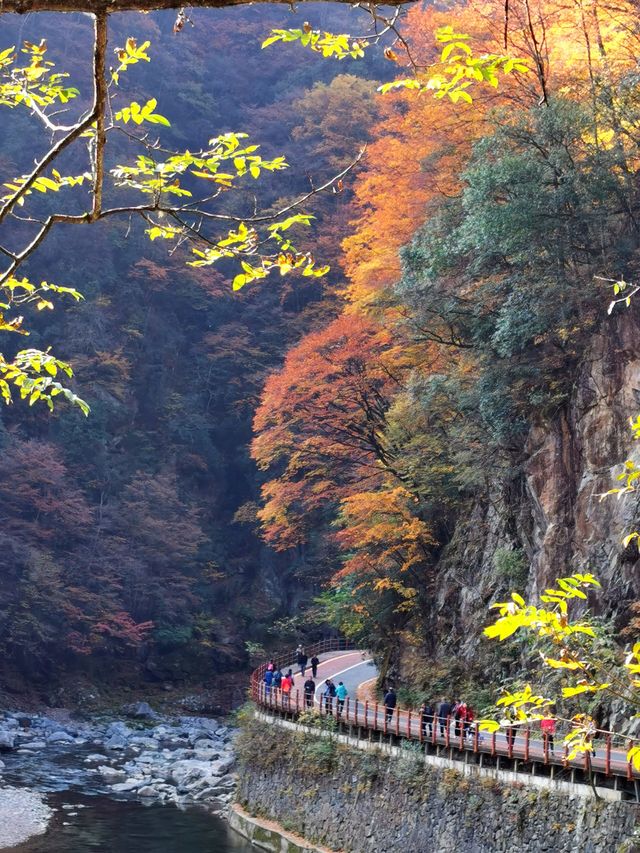 光霧山之米倉山景區