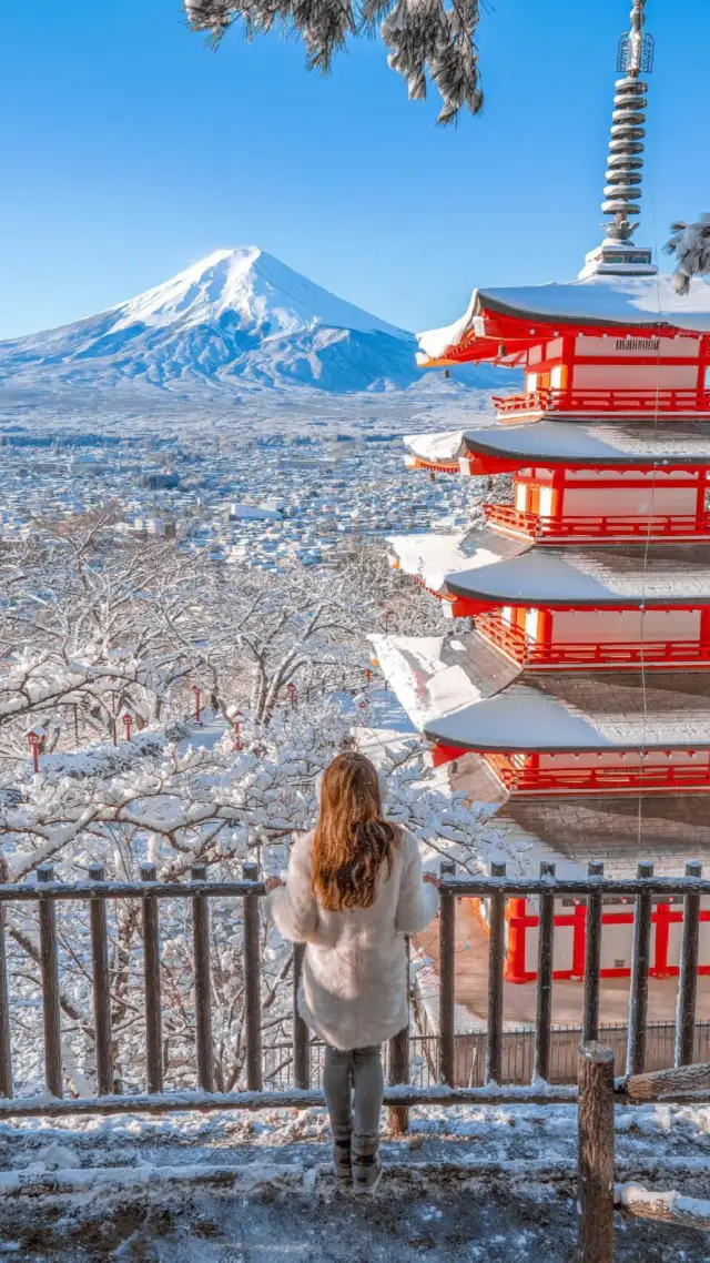 Tour around Tokyo (Mt. Fuji🗻 version)🌸📸