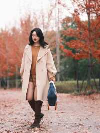 魔都小眾楓葉拍照地|人少 大片紅葉