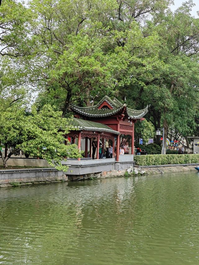 芜湖鏡湖公園丨鑲嵌在芜湖大地上的一顆璀璨的明珠