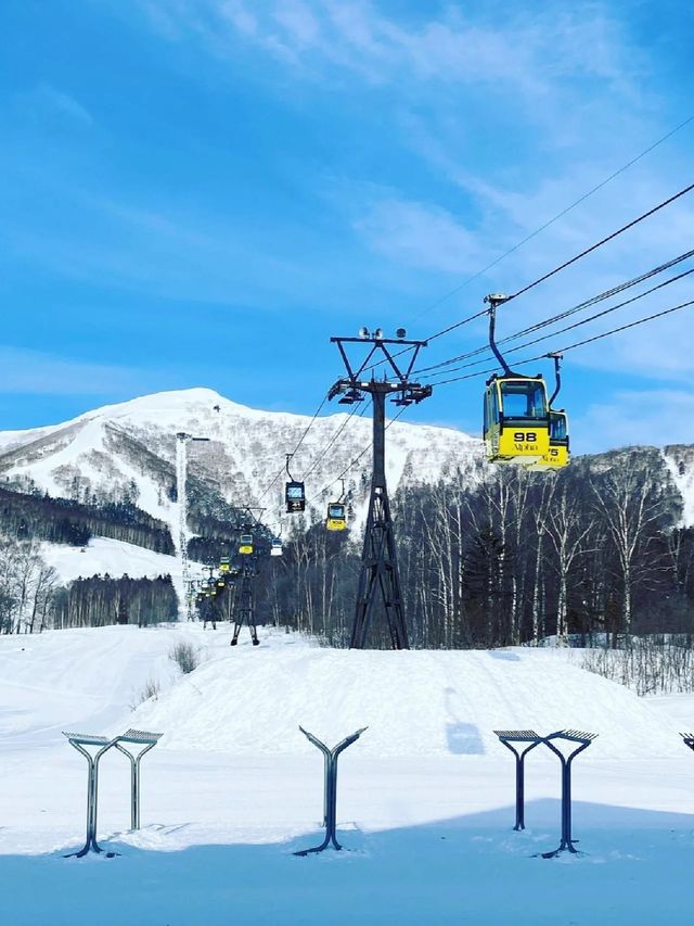 滑雪！快來北海道！！！