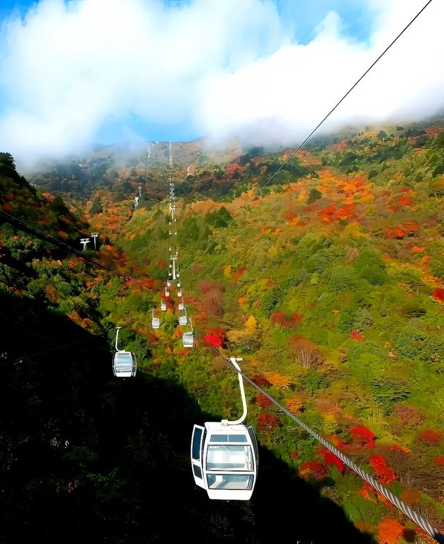 遇見冬日炫烂，遇見多彩涼山