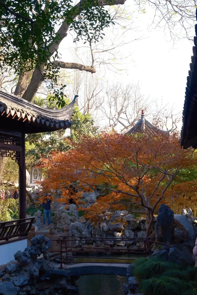 Spend 15 yuan to go to Suzhou Yiyuan, take you to see if it's worth it?