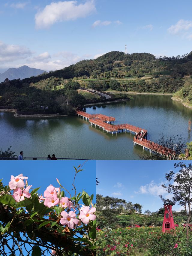 天然大氧吧|新興象窩生態園