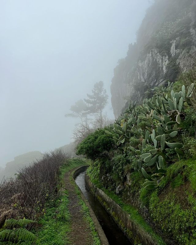 Unveiling Hidden Trails: A Hiker's Paradise 🌲🚗