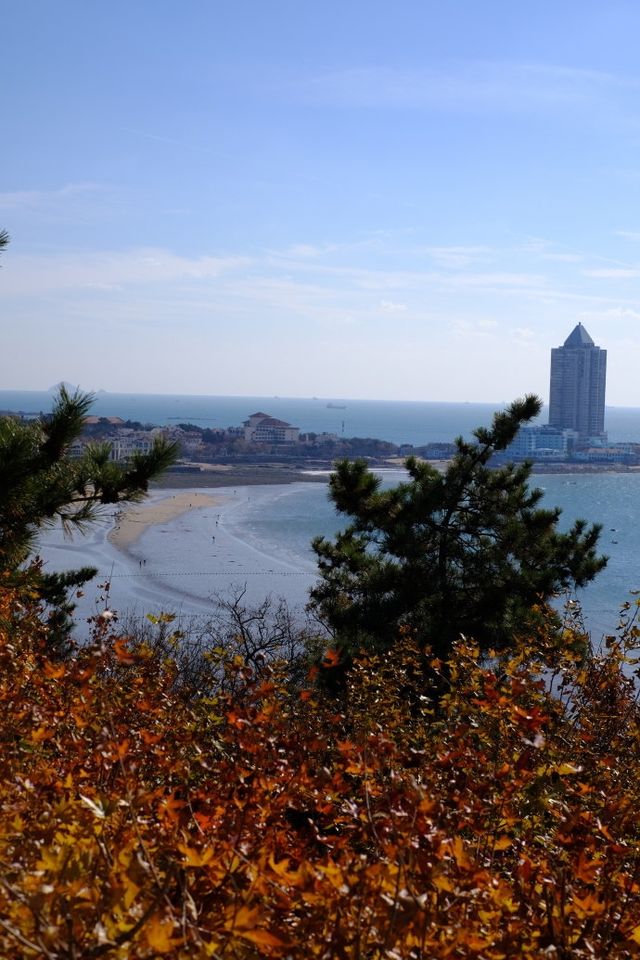 青島 小魚山公園懶人打卡攻略