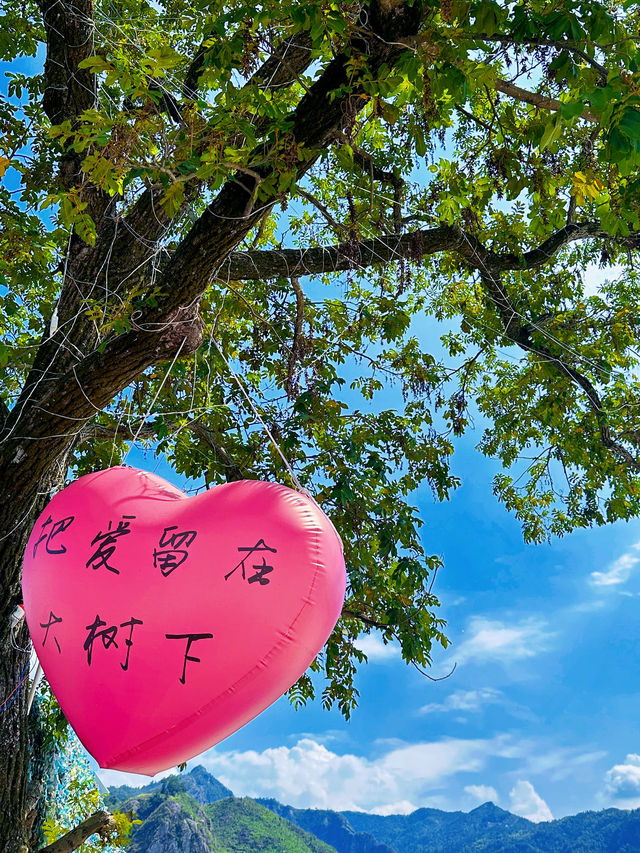 永嘉國慶假期好去處 露營燒烤游泳 還有槳板麻將 由於人員不夠湊不上國粹hhhh 簡直