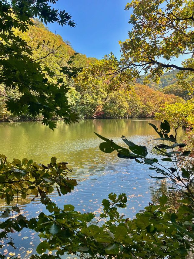 關門山賞楓好去處