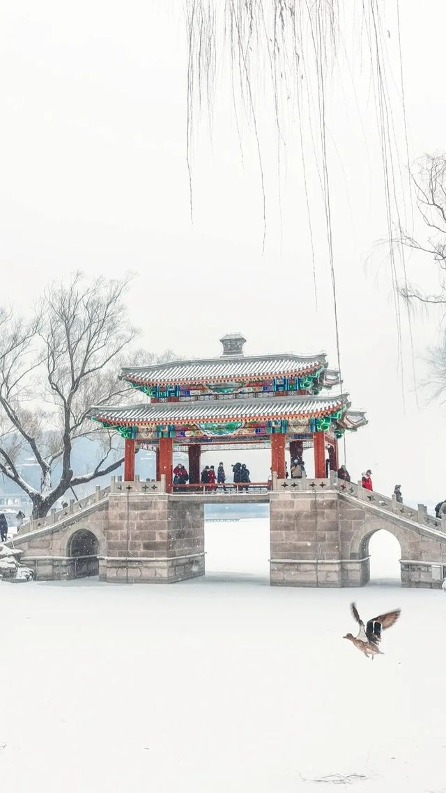 不得不說，一下雪北京就變成了北平