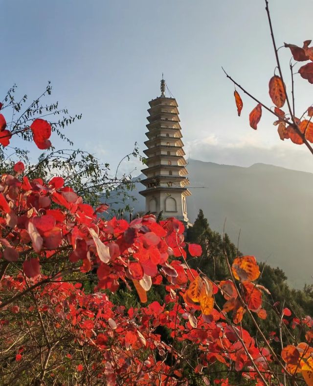 重慶巫山小三峽—巫山紅葉