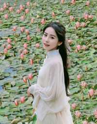 上海之魚花海