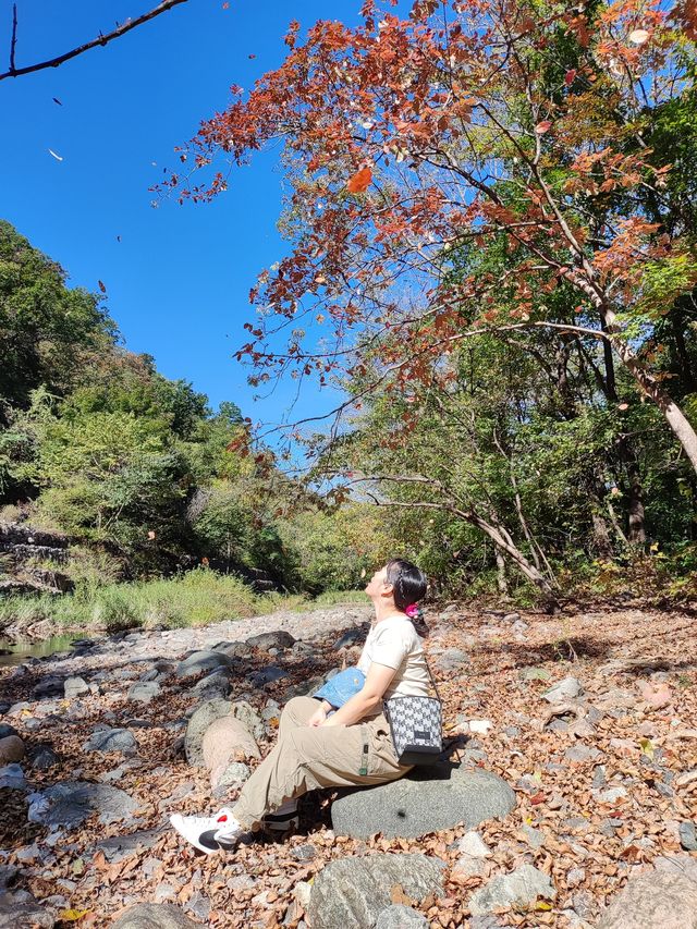 十一遊本溪-第一站關門山國家森林公園