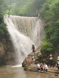 踏入原始森林，遊山玩水好地方 ‖ 玉龍溪大峽谷