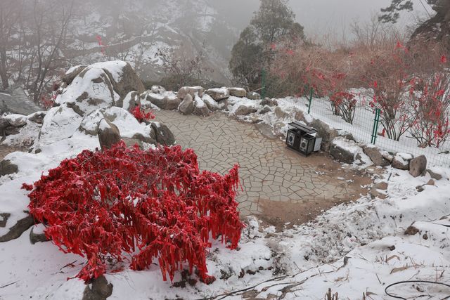 冬日泰山盛宴，美景等你來解鎖！