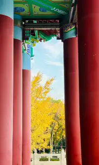上海川沙古鎮一個被忽略的小鎮！！