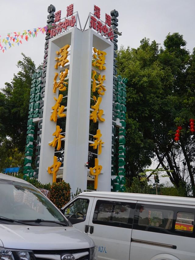 深圳年味 | 要過年啦，總要逛一趟花市吧~