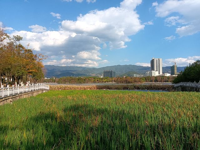 玉龍湖公園