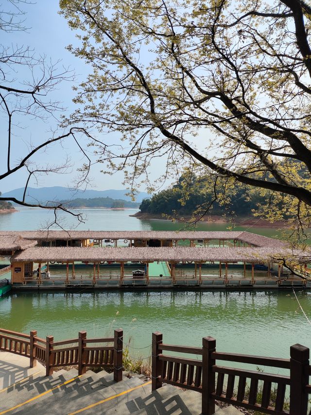 河源萬綠湖 悠閒一日遊 最詳遊玩坐船攻略