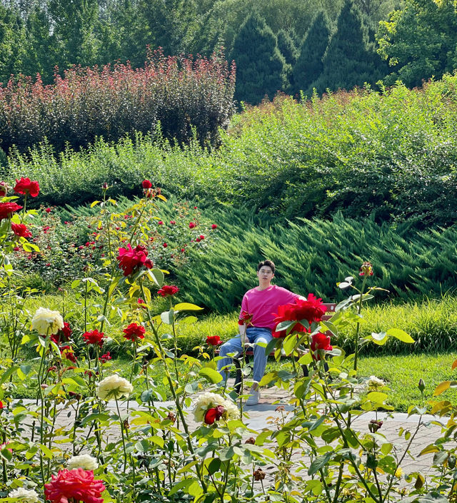 跌入油畫莫奈花園天空之境|北京·寶藏公園