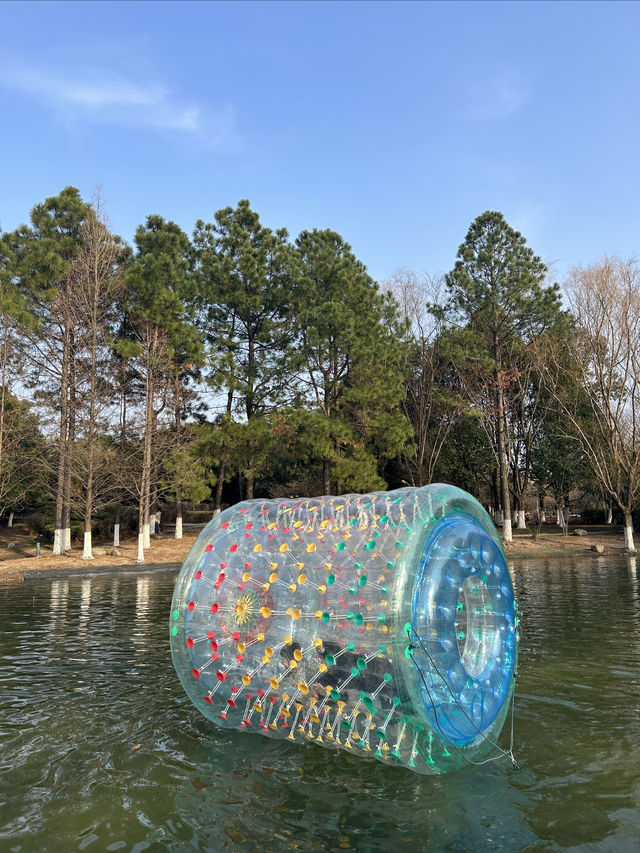蘇州春日踏青，抓住梅花的尾巴