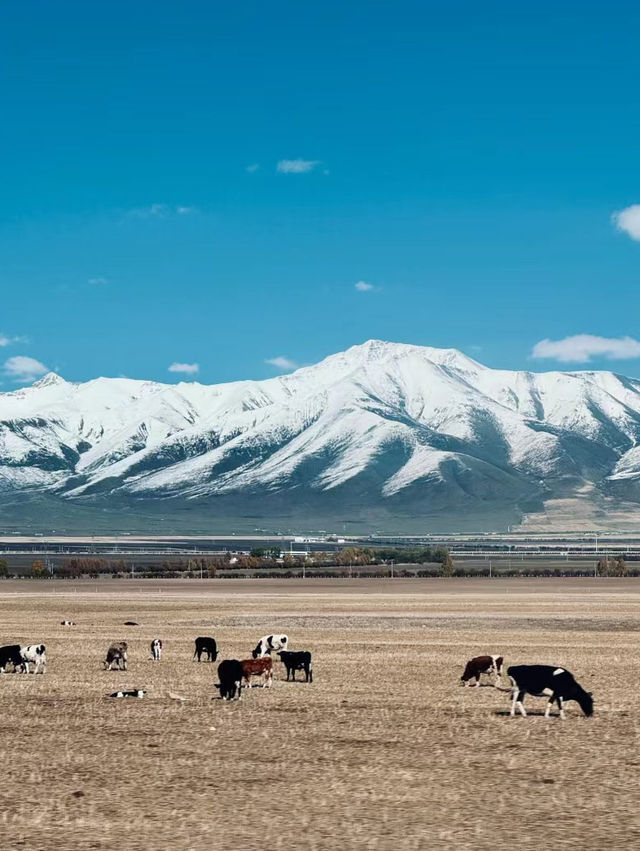 岗什卡雪峰