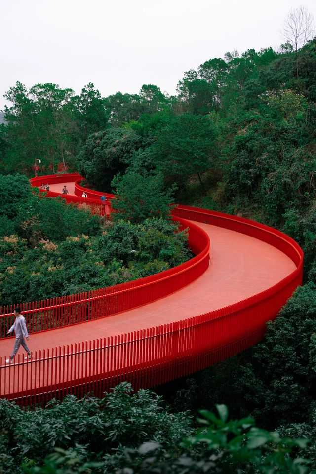 深圳陰雨天好去處光明虹橋公園|||