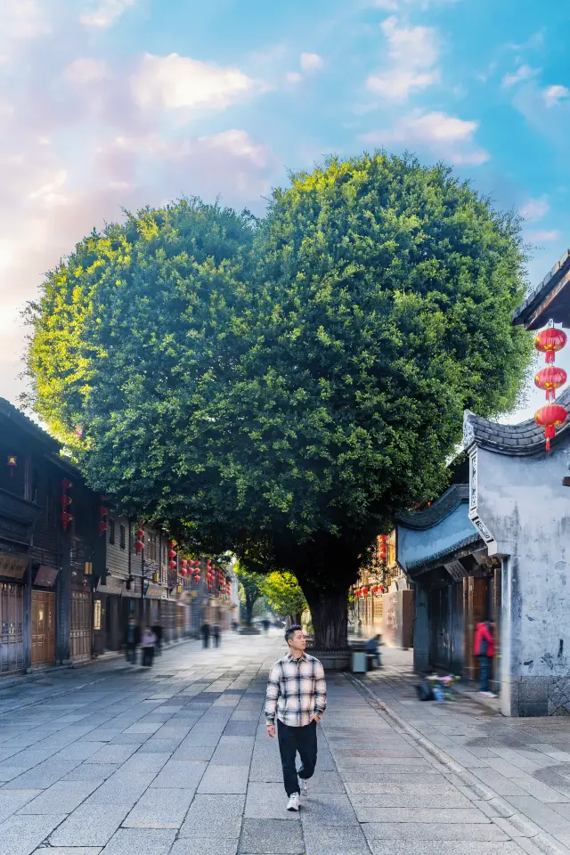 The upcoming Fuzhou can be called the ceiling of domestic travel