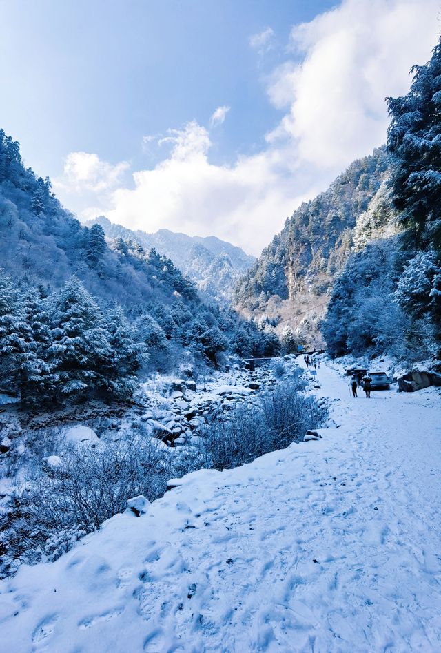 川西厄爾納溝‖南方小土豆的冰雪童話世界