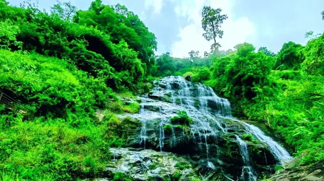 Do you know where the heart of Hainan is? It's a veritable green treasure trove