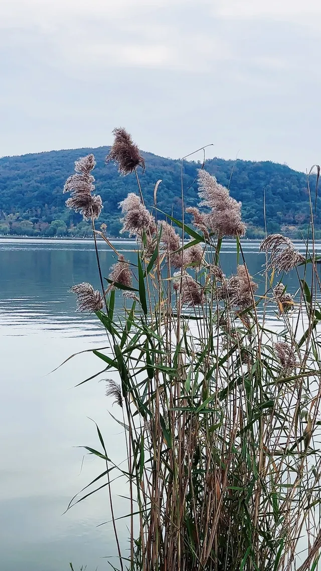 海鹽| 小眾景點綠色氧吧南北湖