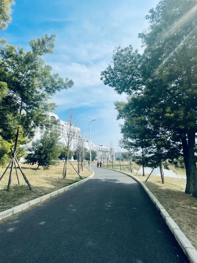 Hello, Yangzong Lake, everything will get better!