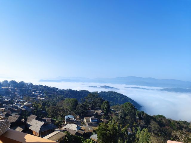 終於來到了隱秘的景邁山，免費世界非遺景點!