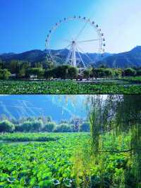 不是江南勝似江南