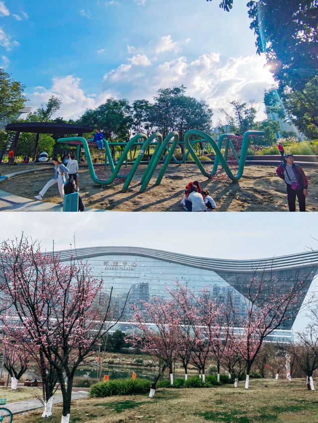 成都免費遛娃好去處桂溪生態公園西區