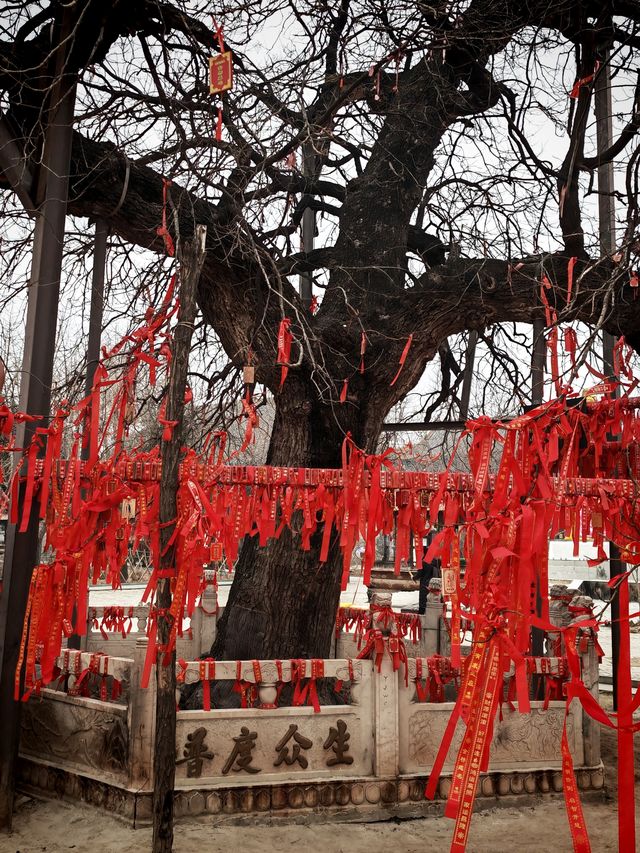 相傳清代順治皇帝出家之地：白雲禪寺