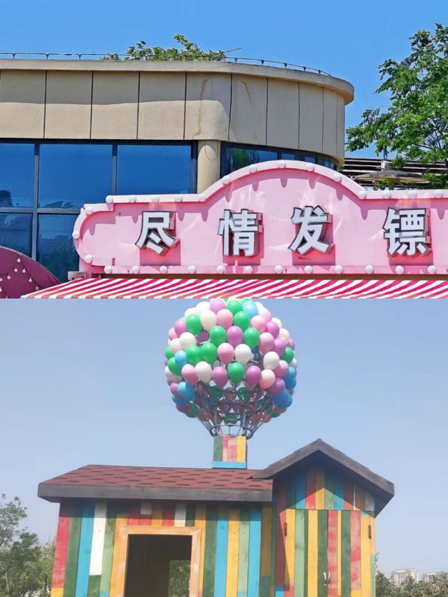 聊城九州洼月季公園打卡