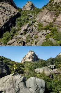 山不見我，我自去見山
