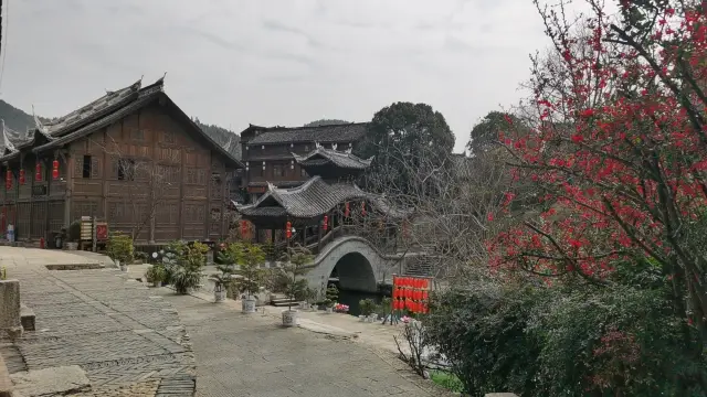 Guizhou Tour 2024