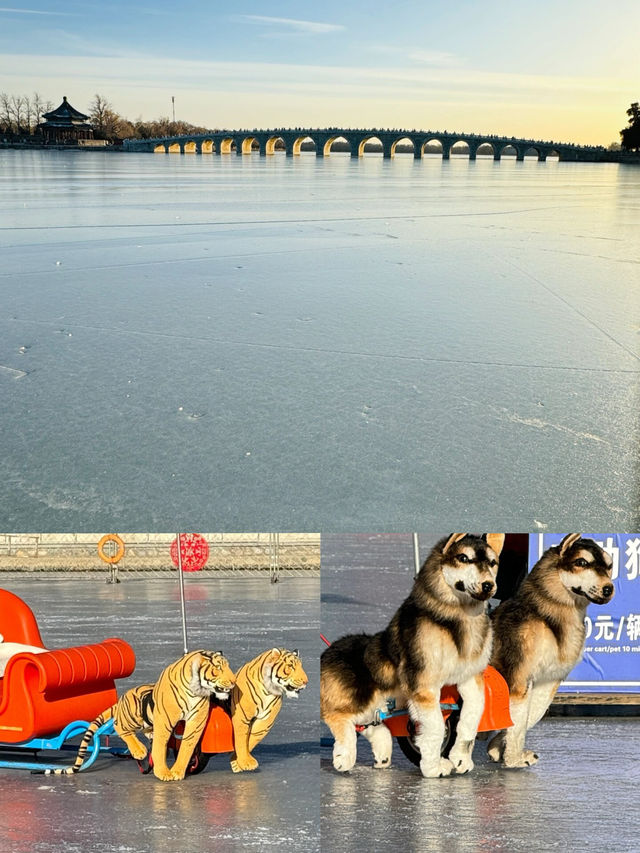 北京什刹海冰場｜前海和後海選哪個？