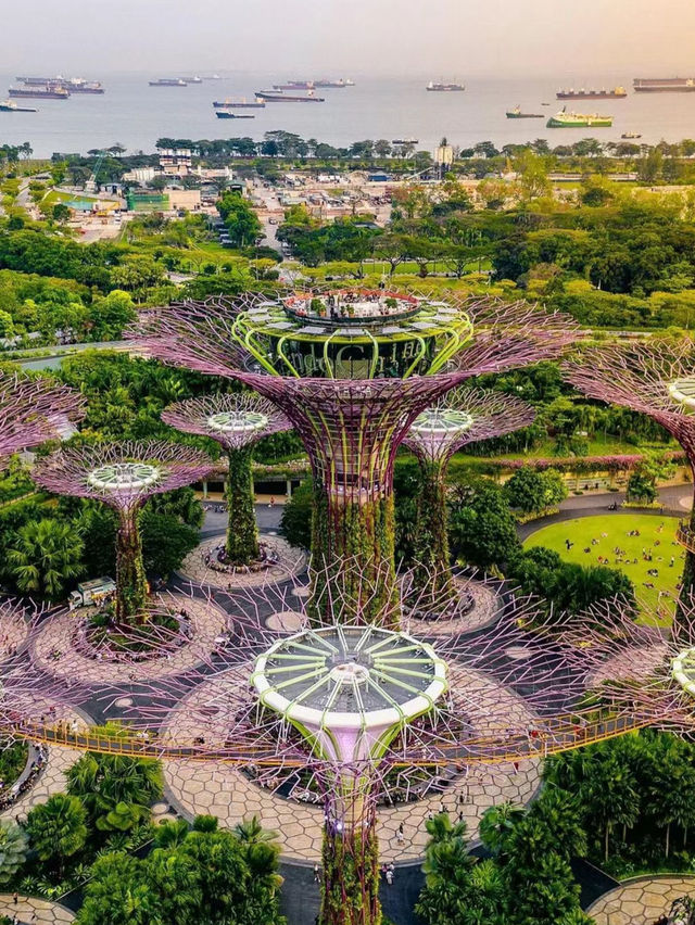 Garden by the bay Singapore  beauty 🇸🇬 