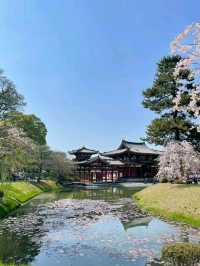 OMG 😍 Byodo-in Omotesando in Japan🇯🇵