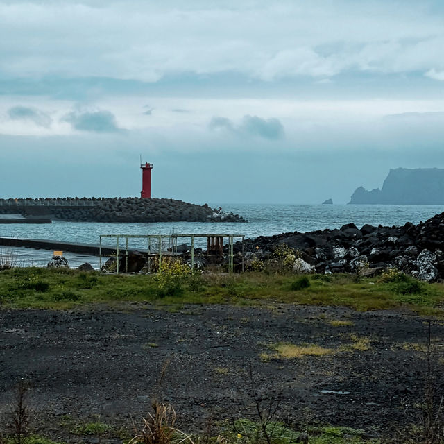 A Cow island of Jeju 🐄🏝️