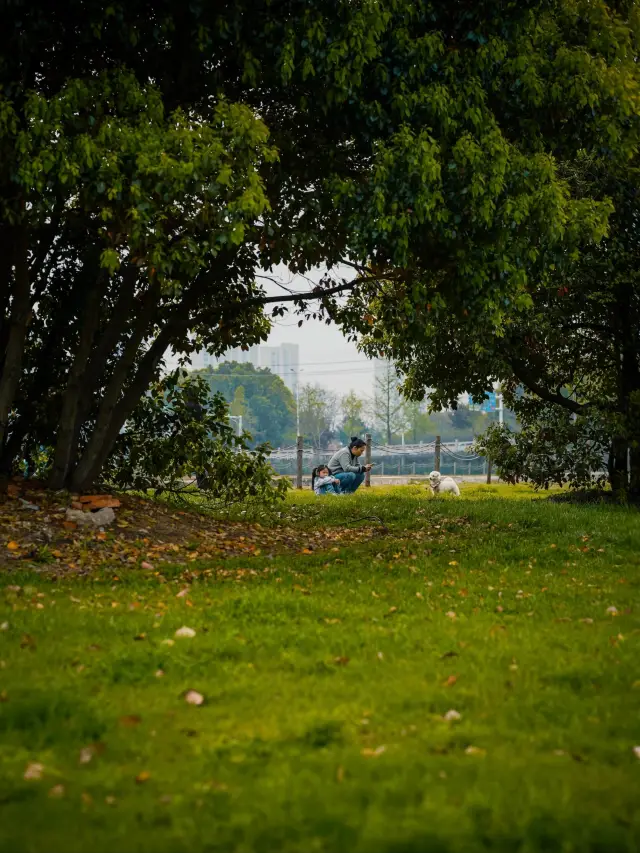 เวลากลางแจ้งที่หาได้ยาก!