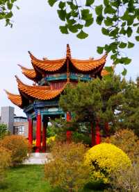 園博園 春及園