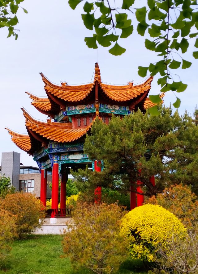 園博園 春及園