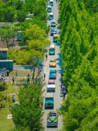 這不是宮崎駿的動畫，這是上海0元公園