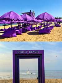威海！紫色沙灘，超小眾的寶藏打卡地！！