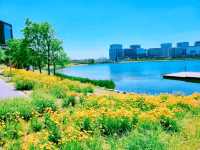 納涼旅行首選之地，不僅有夏日風情更有城市的繁華親近大自然美景