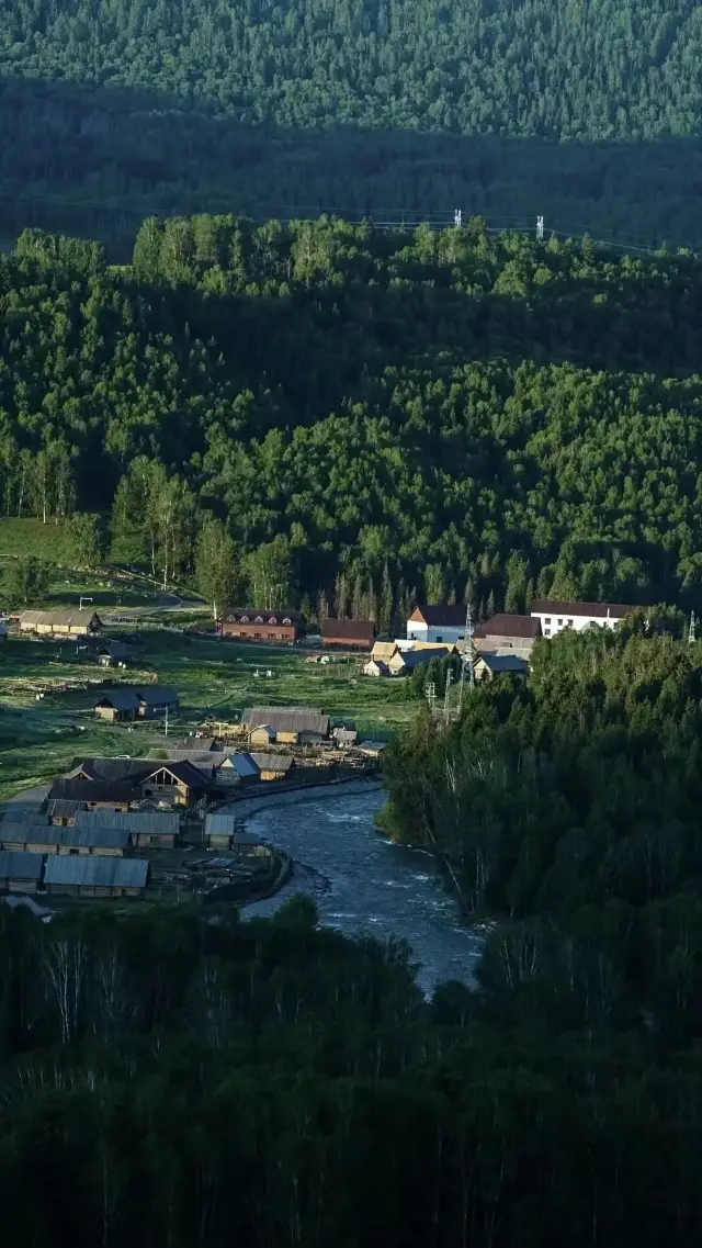 My Altay