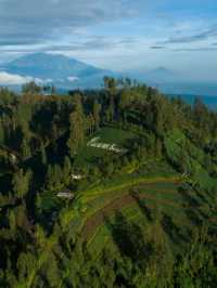 🌋 East Java's Gem: Plataran Bromo Hotel Review 🏨
